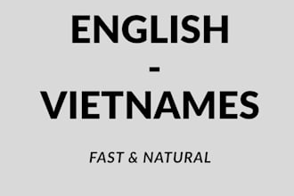translate english to vietnamese and vietnamese to english manuall