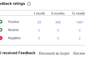 manage your ebay account professionally for a period of time