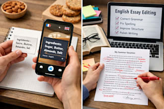 translate and correct essays in english