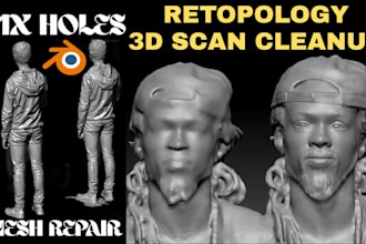 fix stl scan 3d scan cleanup cad design, mesh head 3d face full body model