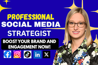 social media marketing strategy, content plan, growth plan and brand promotion