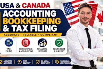 handle USA and canada accounting bookkeeping and tax filing