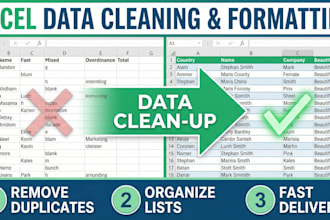 clean, format, and organize your excel data or mailing lists