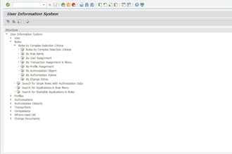 build, design, maintain resolve sap authorizations issues