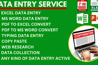 do accurate data entry word, excel typing, image to text