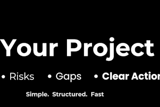 review your project plan and identify risks and gaps