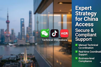 provide expert consulting for china market entry and tech support