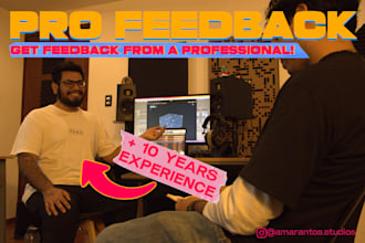 give professional feedback on your song or production