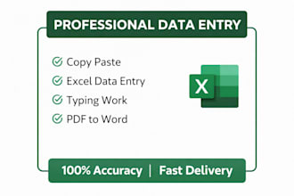 do professional data entry copy paste and typing work