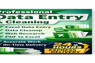 accurate data entry, data cleaning, and excel data formating