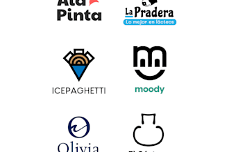 design a creative logo with mini brand presentation