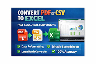 convert PDF or CSV data into clean and formatted excel