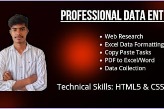 do professional data entry and web research tasks