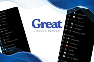 create a professional discord server with bots and roles