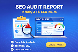 do complete website SEO audit and report
