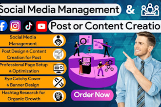 be a social media manager and content creator for promotion