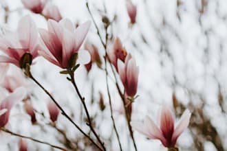 create a personalized guided meditation for your healing journey