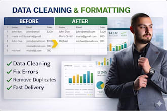 clean and organize your excel or CSV data professionally