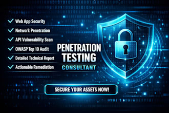 be your expert penetration testing consultant for web and network security