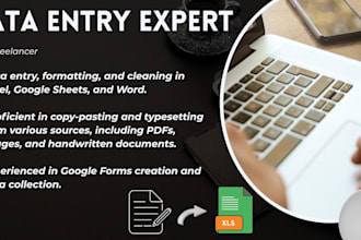 do fast and accurate data entry, and data transcription