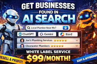 rank your business in ai search white label service
