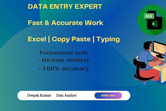 accurate data entry, copy paste, and excel data typing