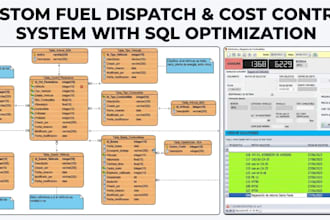 build custom software and data solutions