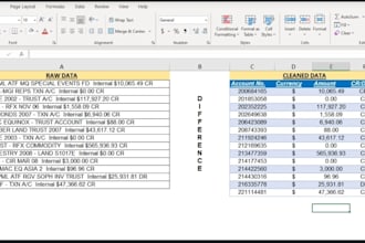 do data entry , cleaning , editing