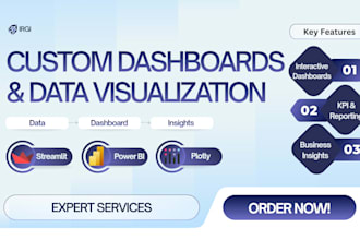 build custom dashboards and data visualization solutions