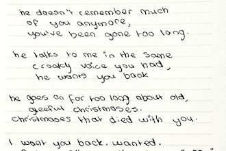 write poetry for any occasion and of any genre requested