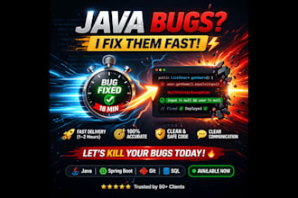 fix java bugs at low price