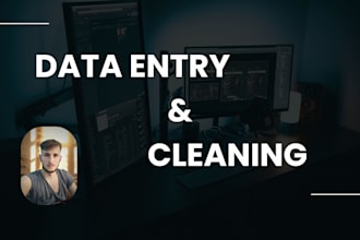 do data cleaning, data entry, and excel automation
