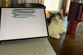 beta read your book and give you honest feedback
