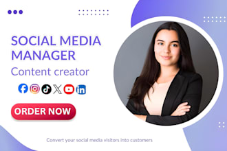 do tiktok video ads book promotion book tok content creator tiktok reels