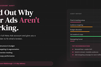 audit your meta ads account and give you a full optimization plan
