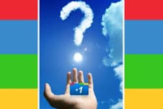 supply you 10 google + 1 votes for your website to rockup your SEO