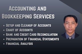 do bookkeeping, accounting, cleanups, financial statement, financial analysis
