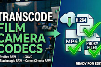 convert camera footage to editable files