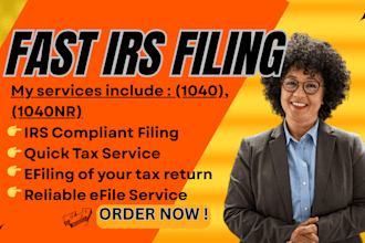 prepare and file your 1040, 1040nr personal tax return and ensure compliance