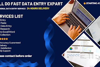 do fast data entry, copy paste and excel data entry within 24 hours