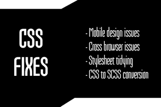 discover any website CSS issues