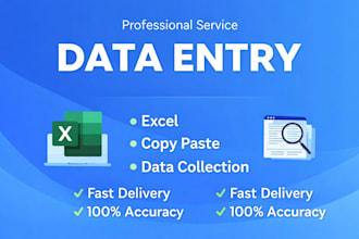 do data entry, copy paste, excel data entry within 24 hours
