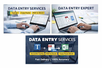 do data entry, typing, copy paste, and PDF to word work