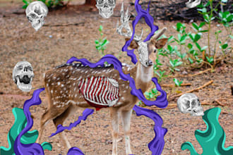 turn your photo into a unique mixed media illustration