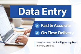 do accurate data entry, copy paste and typing work
