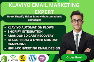 build klaviyo airline automation shopify ticket sales black friday cyber monday