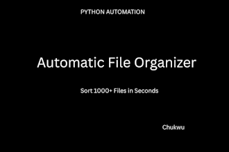 build a python script to automatically organize your files