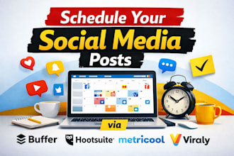 schedule your social media posts via buffer, hootsuite, metricool viraly pallyy