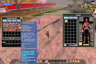 silkroad online private server setup fast and customizable