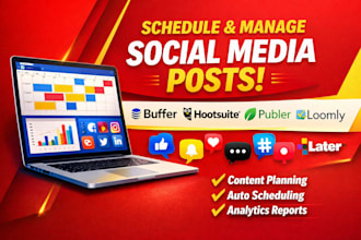 schedule and manage social media posts via buffer hootsuite publer loomly later